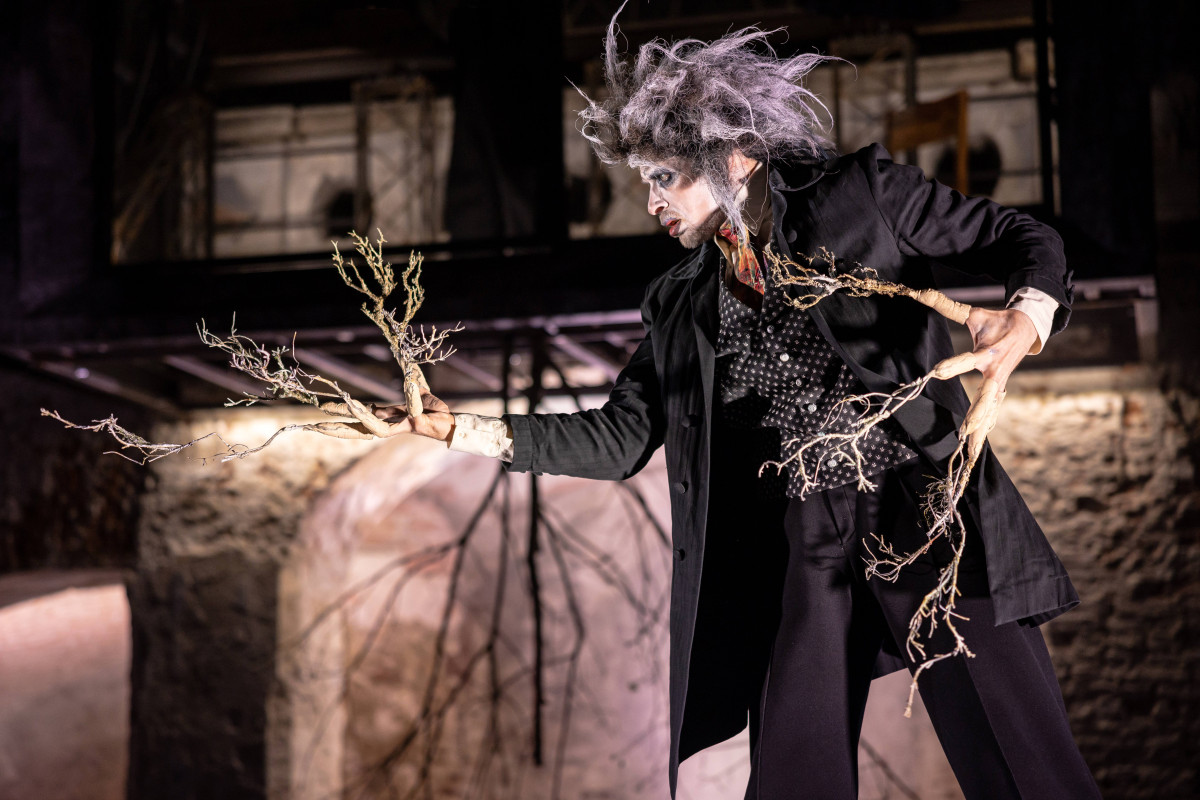 Фотография  для TheatreHD: Эгон Шиле. Автопортрет