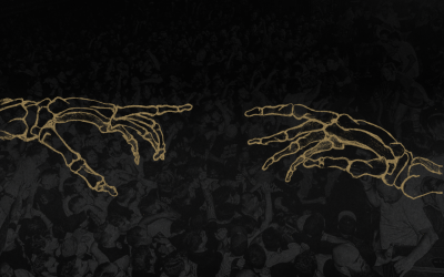 Реюнион фест