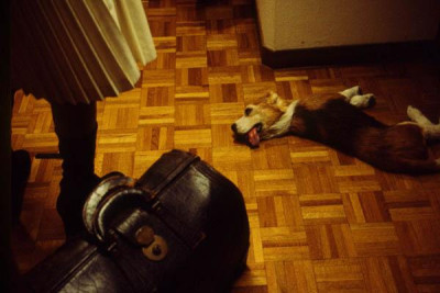 Фотография  для Кинопроба