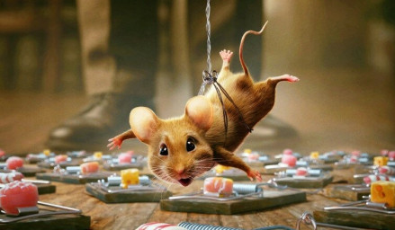 Фотография  для Мышиный переполох