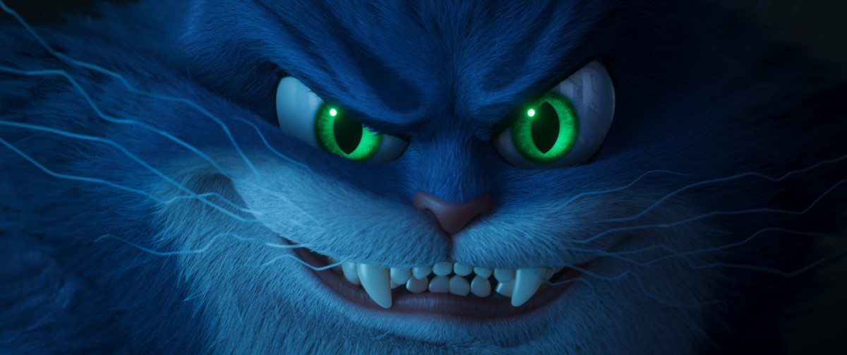 Фотография  для Чарли Чудо-пёс