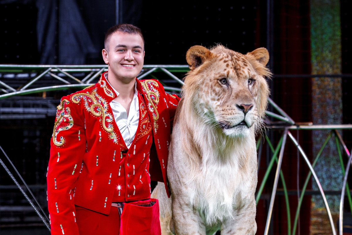 Фотография  для Цирк-шапито «Максимус»