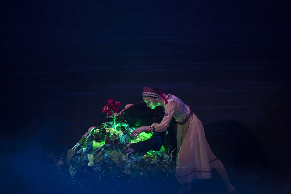 Фотография  для Аленький цветочек