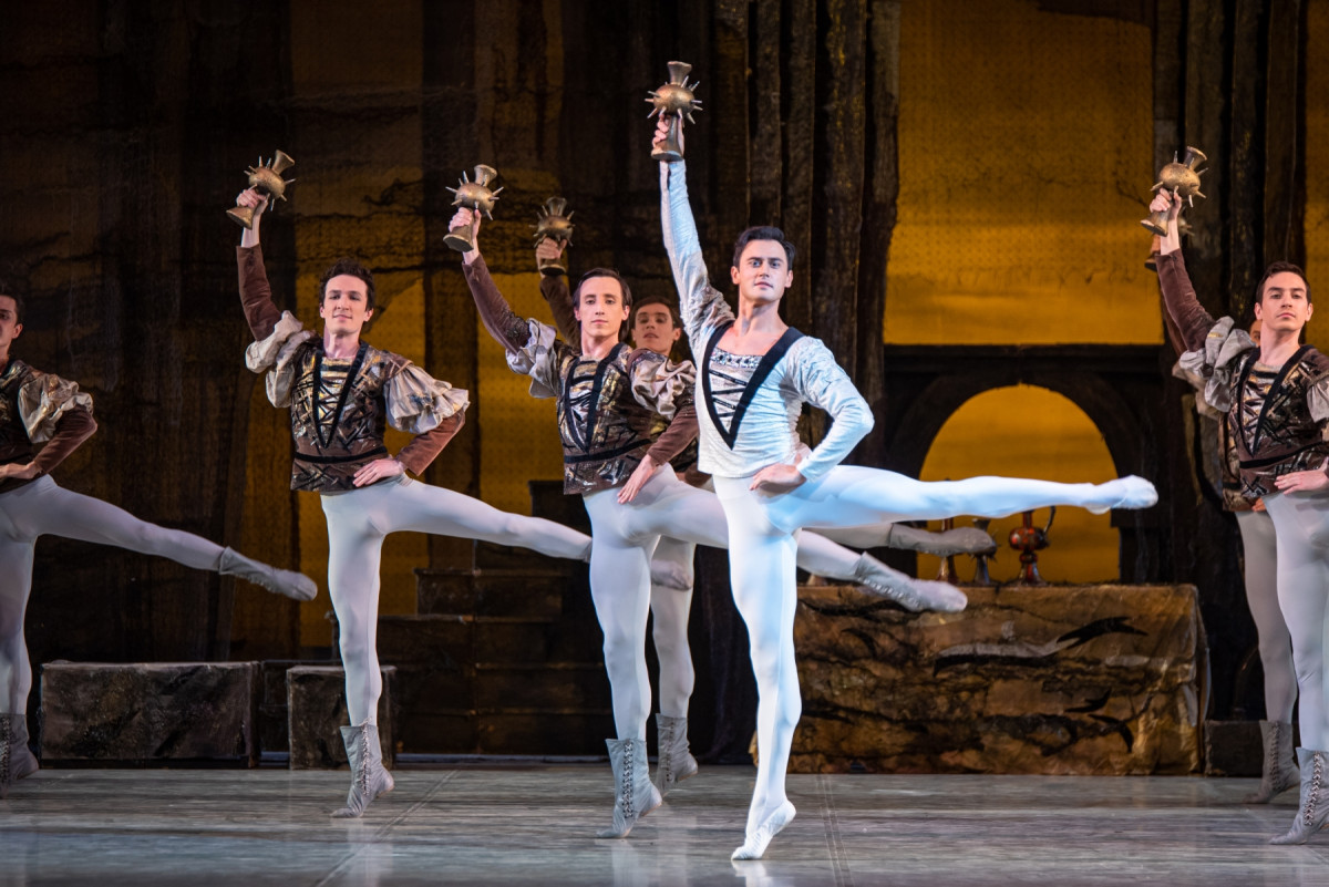 Фотография  для Лебединое озеро