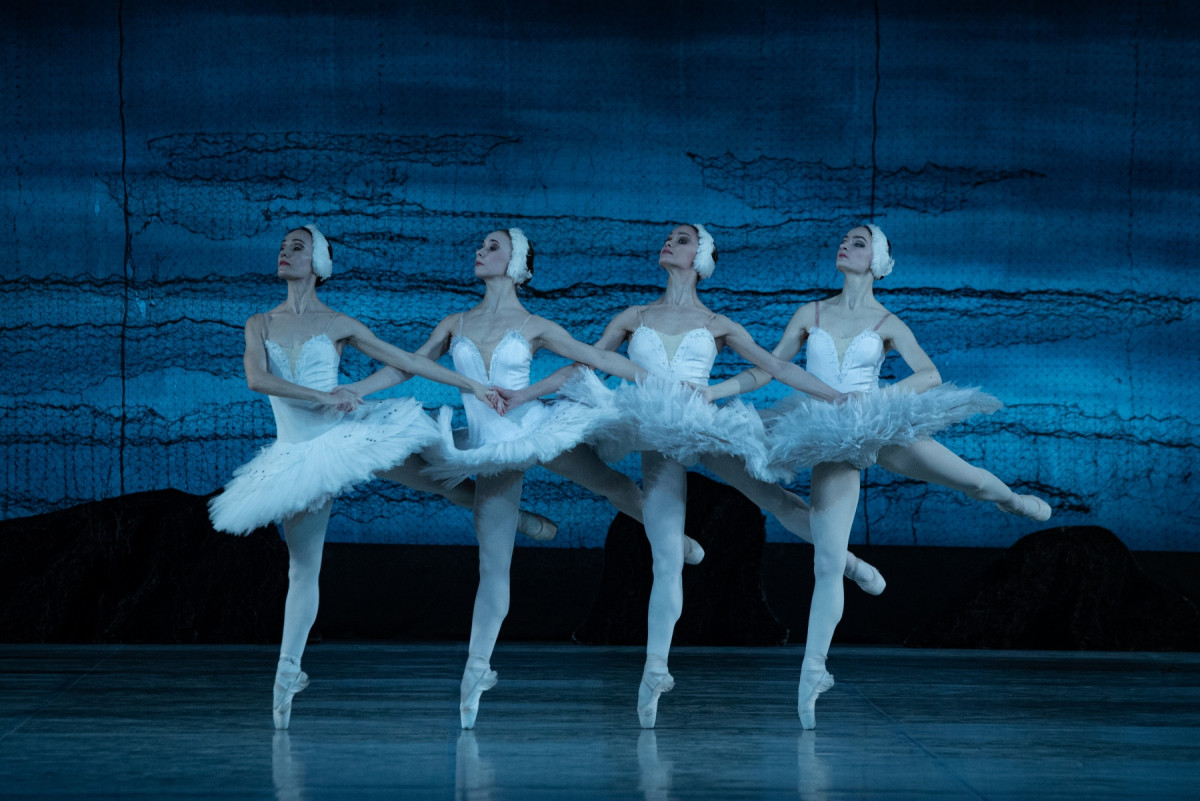 Фотография  для Лебединое озеро