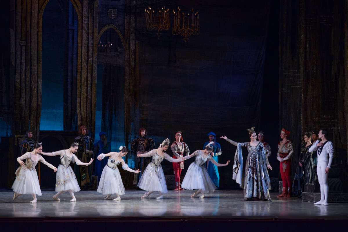 Фотография  для Лебединое озеро