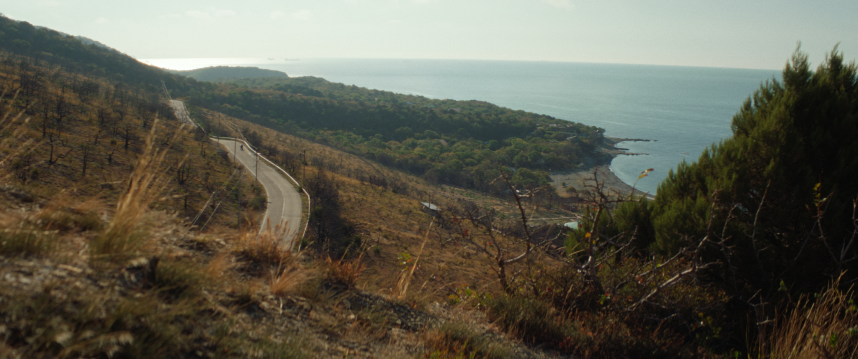 Фотография  для Тюльпаны