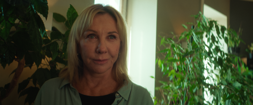 Фотография  для Тюльпаны