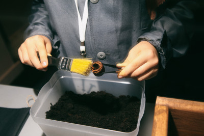 Научная программа «Археология»