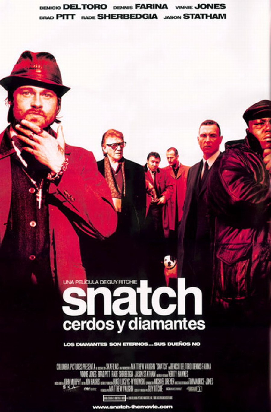 Фотография  для Большой куш