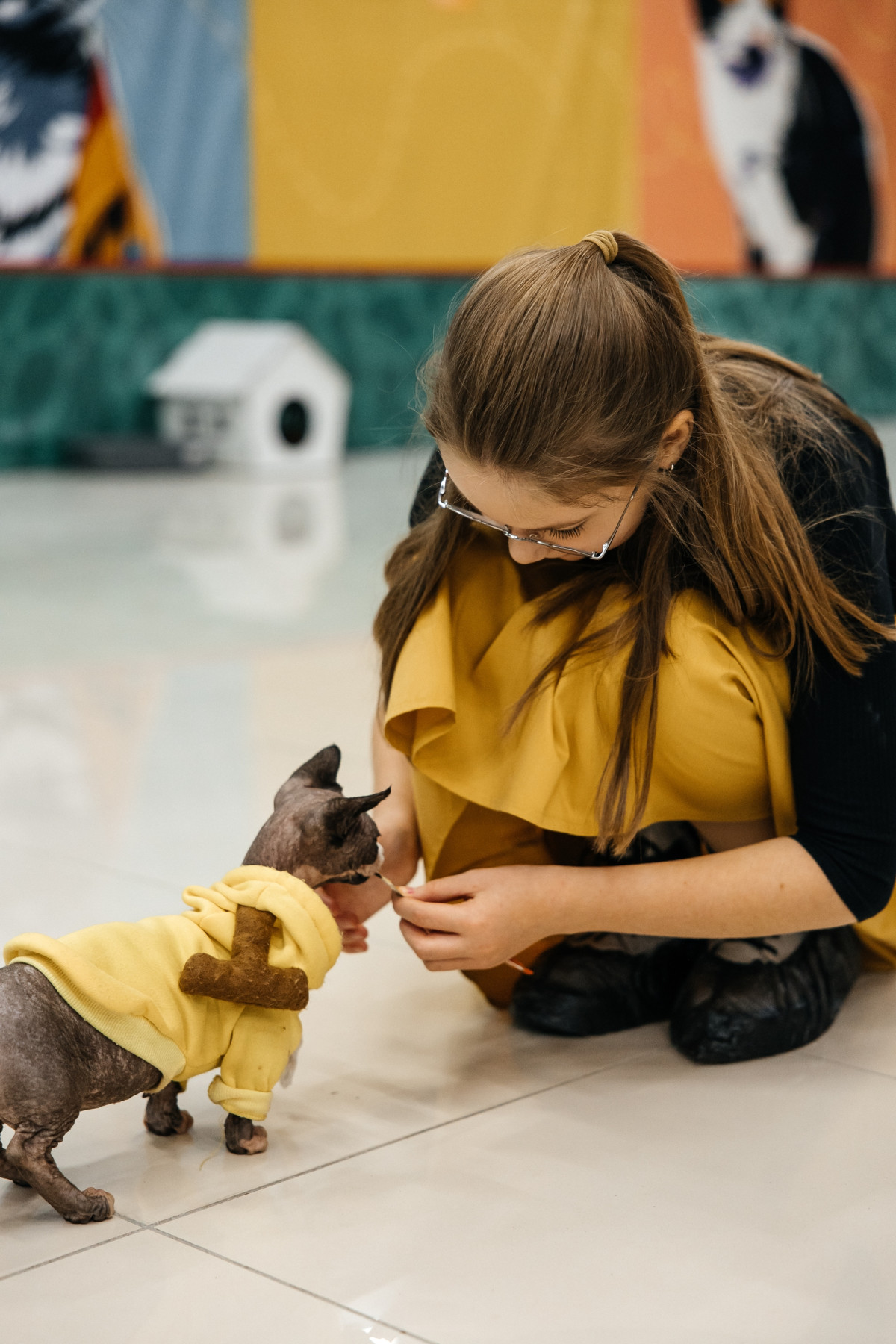 Фотография  для Мурфест