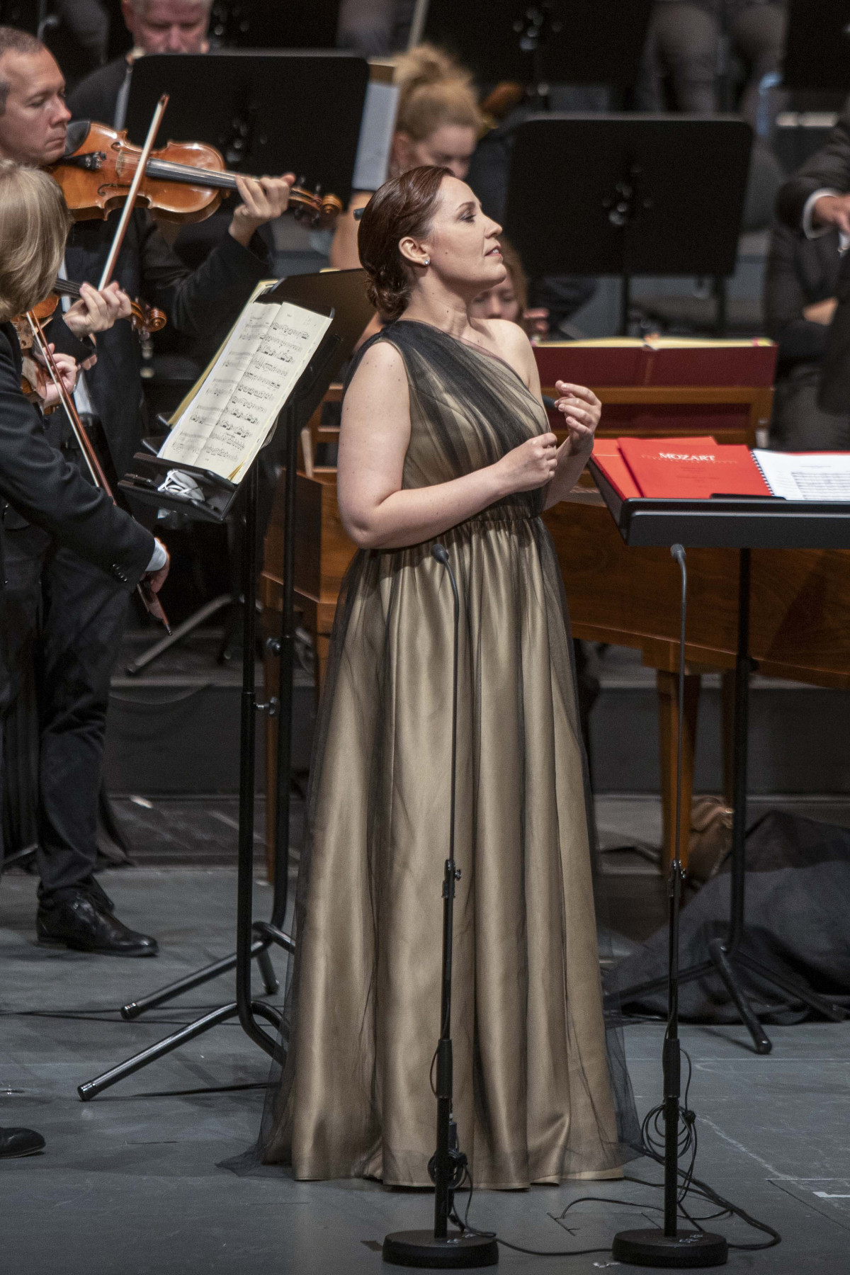 Фотография  для Мститель