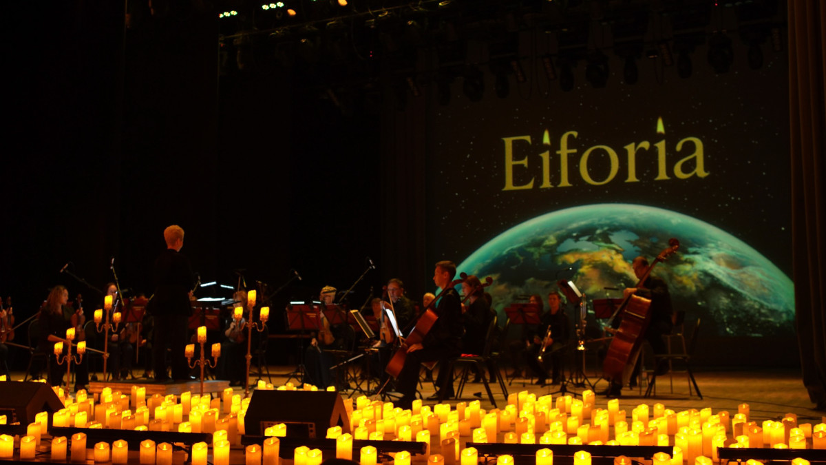 Фотография  для Золото Тойон Бая: Дневник геолога