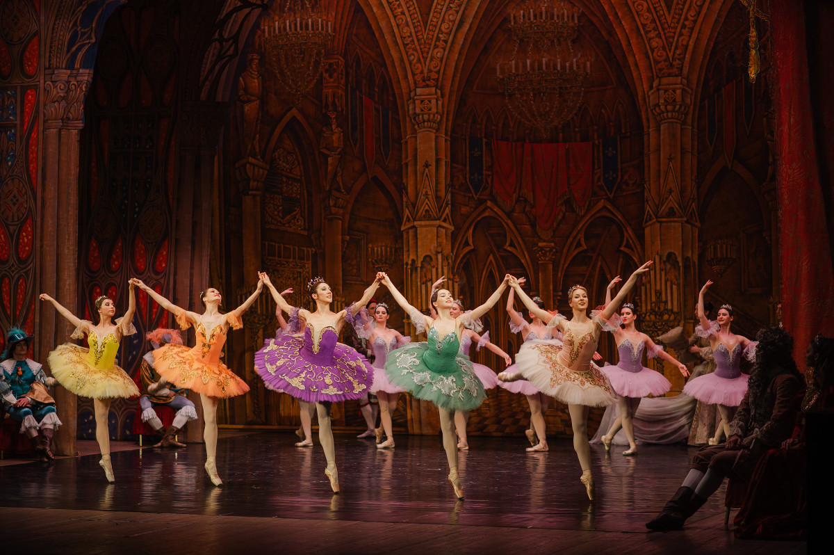 Фотография  для Спящая красавица