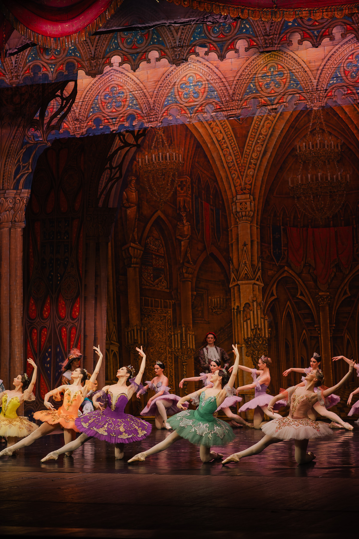 Фотография  для Спящая красавица