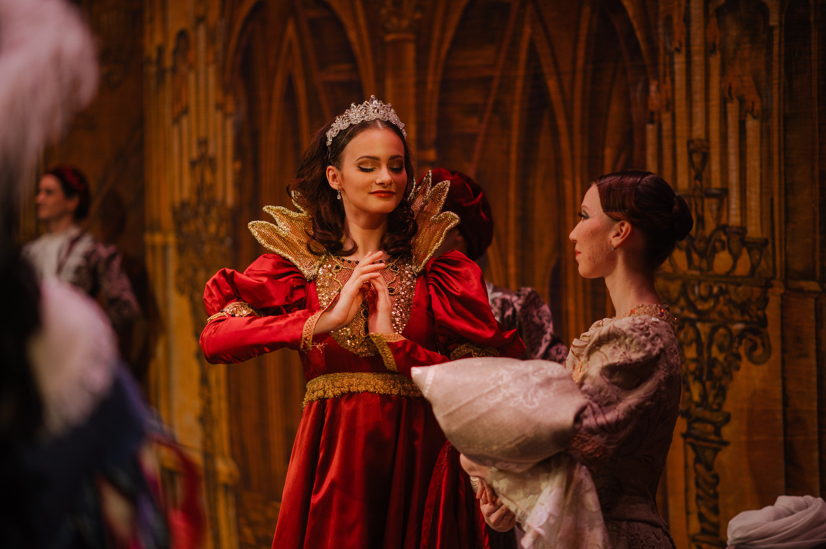 Фотография  для Спящая красавица