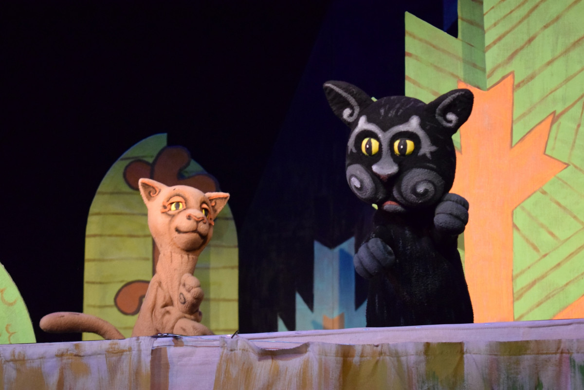 Фотография  для Два кота