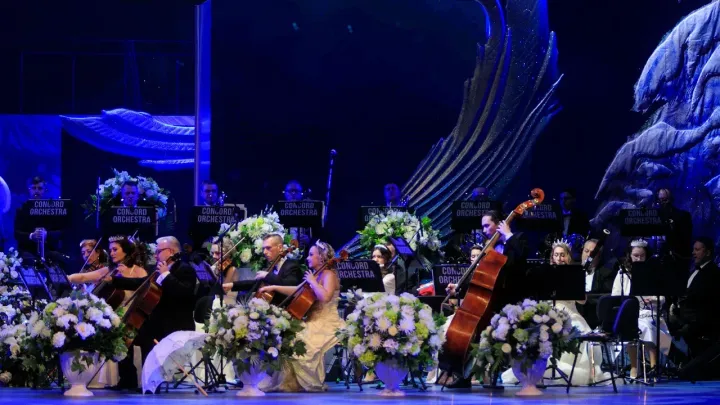 Фотография  для Concord Orchestra. Белоснежный бал Иоганна Штрауса