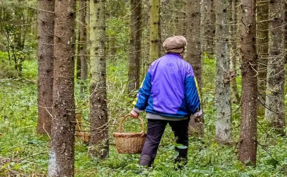 В башкирском лесу пропала пожилая грибница