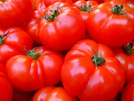 В Башкирии цены на популярные продукты продолжают расти