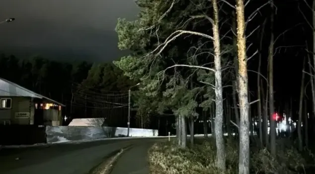В лесу Ишимбая ночью пропала женщина