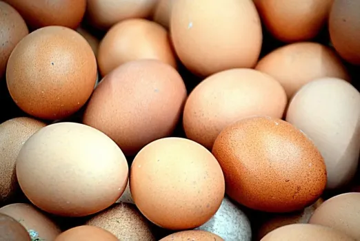 В Башкирии упали цены на базовые продукты питания
