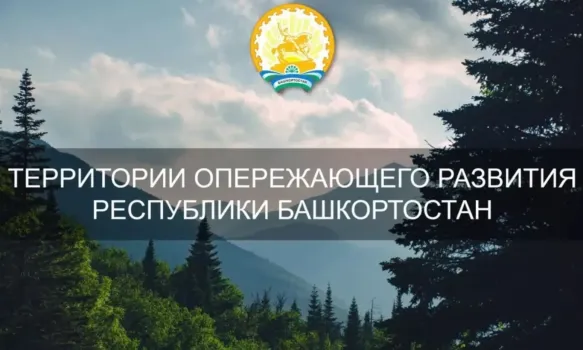 Инвестиции на 76 миллионов и десятки рабочих мест: Что за новый инвестпроект запускают в Белебее