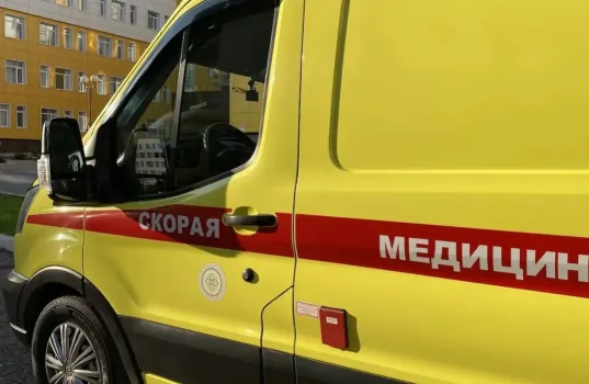 Гематома чуть ниже живота: в Башкирии змея укусила мужчину в пах во время купания в ванной