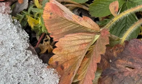 Жителям Башкирии дали неожиданный прогноз на ноябрь и декабрь: к чему готовиться