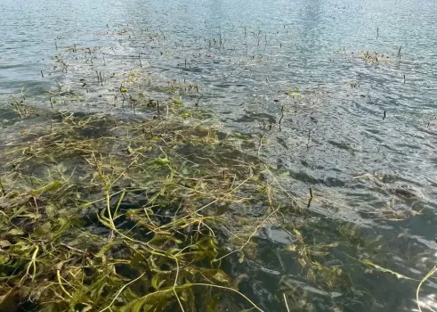 В Башкирии за летний сезон утонули 43 человека: названы основные причины