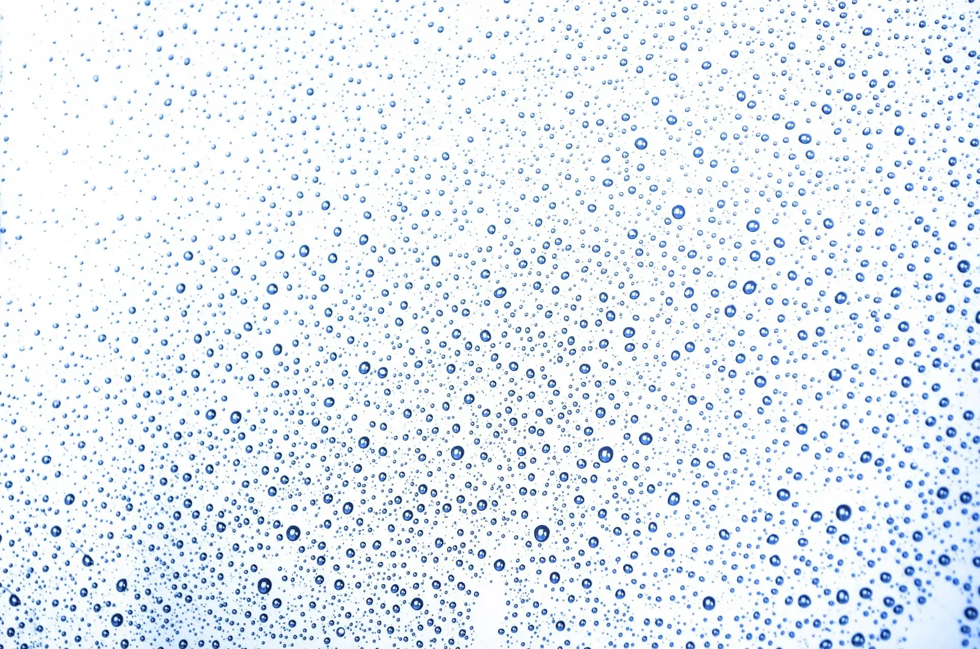 Фото: pxhere.com