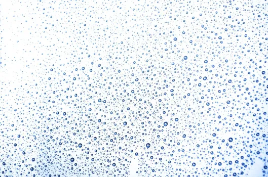 Пластиковые окна плачут? Этот чудо-прибор мигом их успокоит: плесени, грибку и астме — бой!