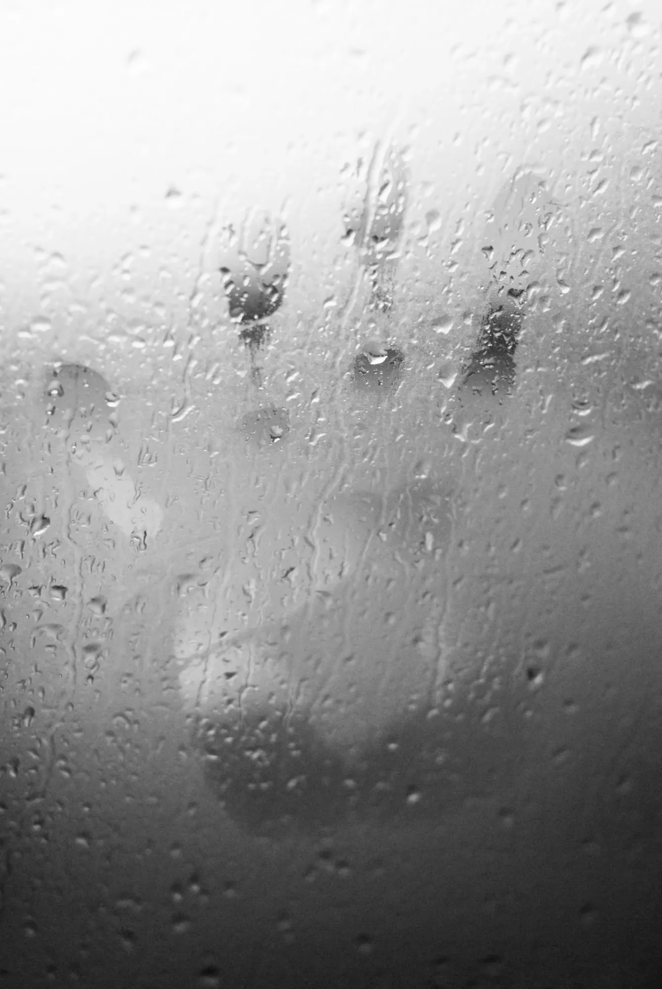 Пластиковые окна плачут? Этот чудо-прибор мигом их успокоит: плесени, грибку