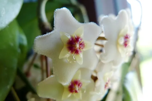 И в грунт, и в дренаж, и в укрытие: один материал — а пользы на миллион