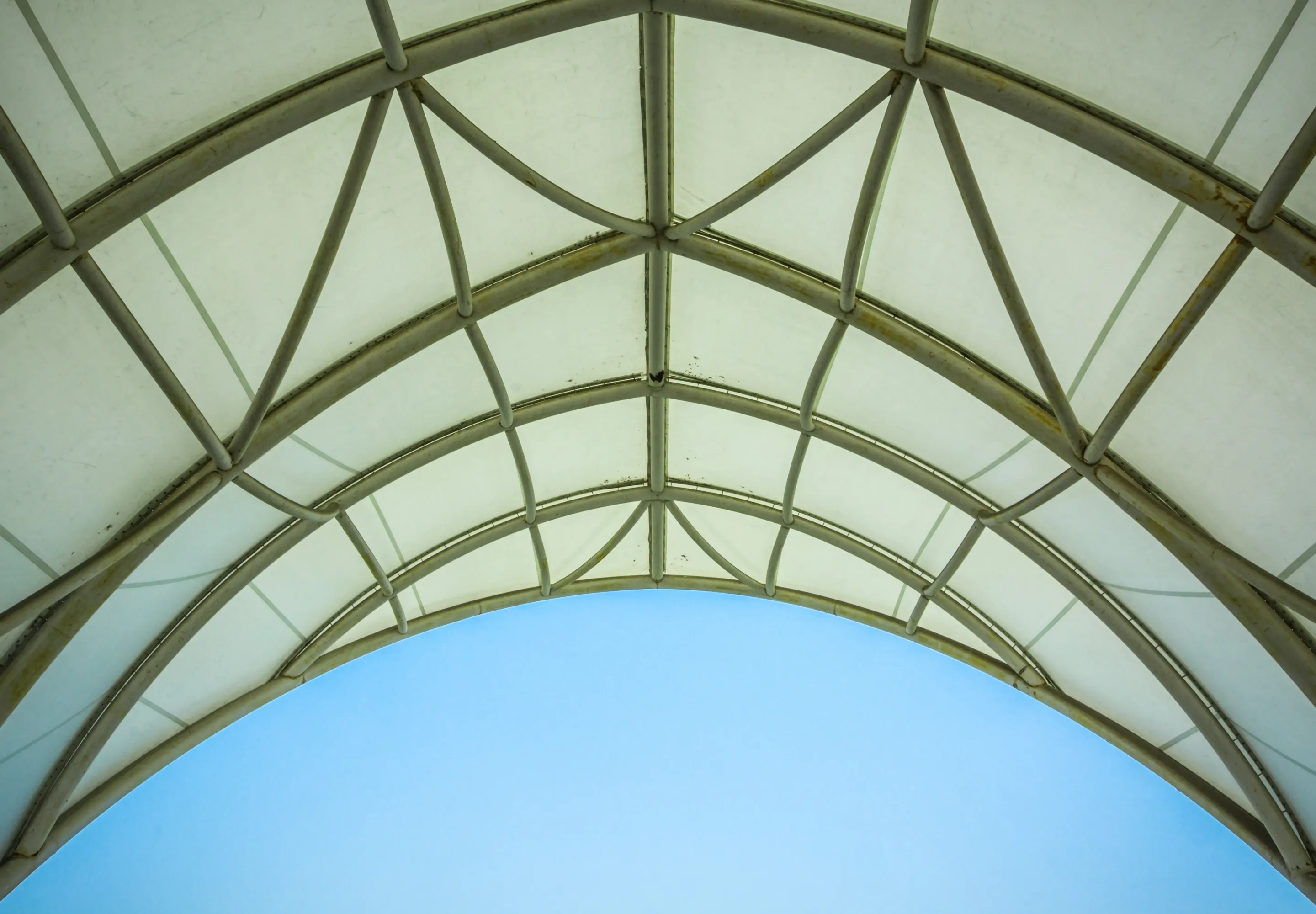 Сделайте с теплицей это — и весной грунт лучше магазинного: лайфхак от опы