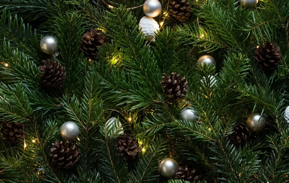 Фото: pxhere.com