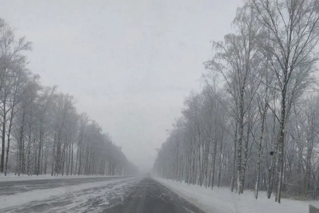 Фото: pxhere.com