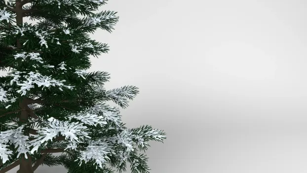 Морозостойкость vs. зимостойкость — не синонимы: в чем разница — рассказывают эксперты