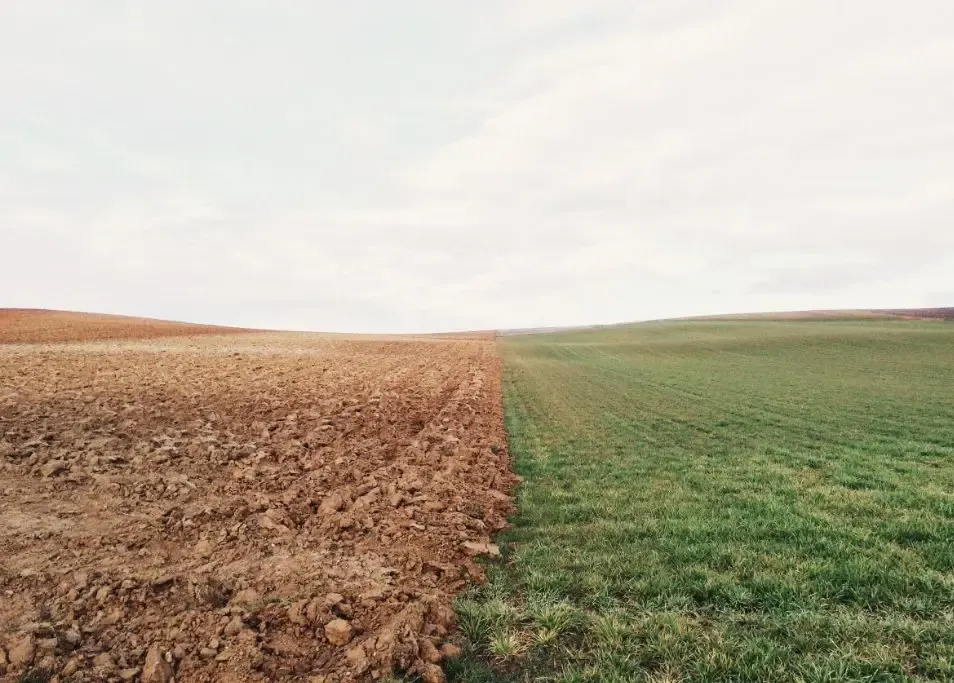 Фото: pxhere.com