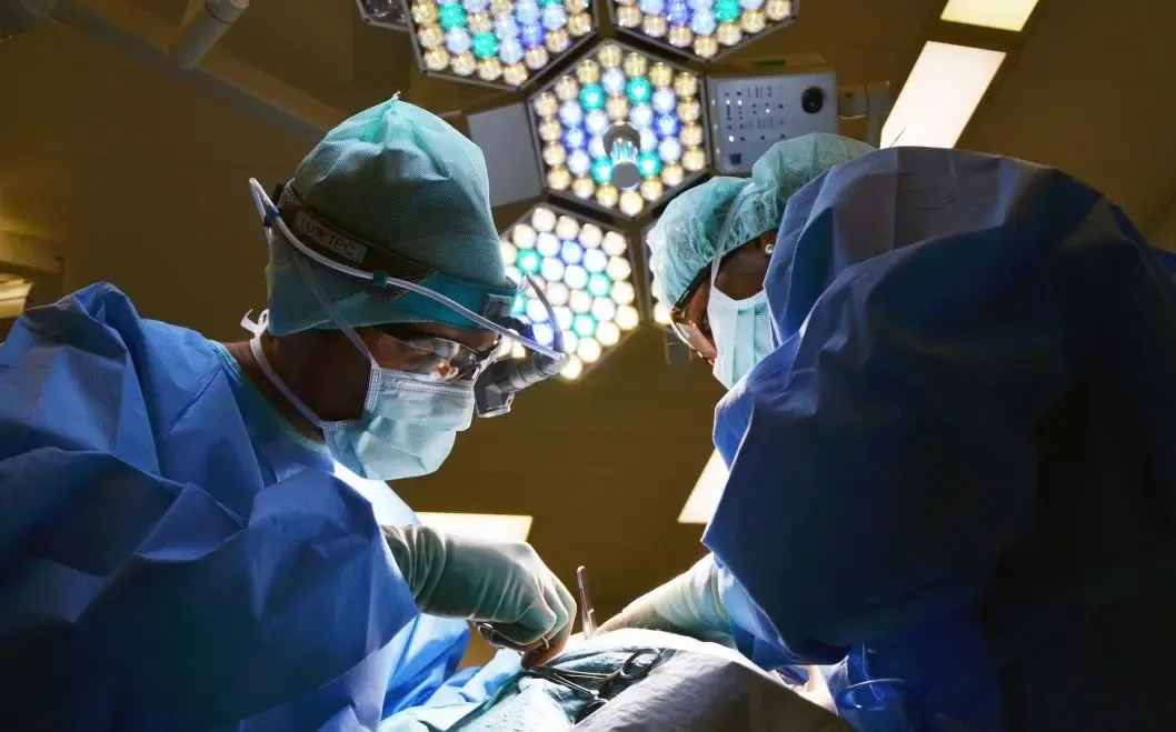 Фото: pxhere.com