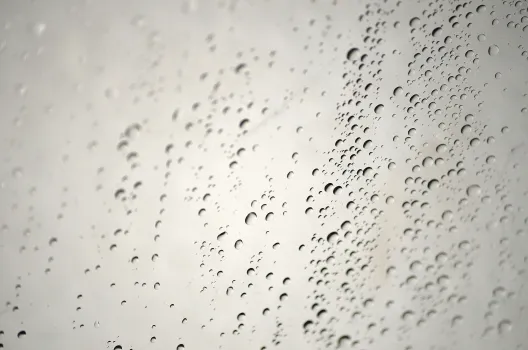 Увлажнители воздуха опасны — и вот почему: аллергия, плесень и налет — как обезопасить себя и домочадцев