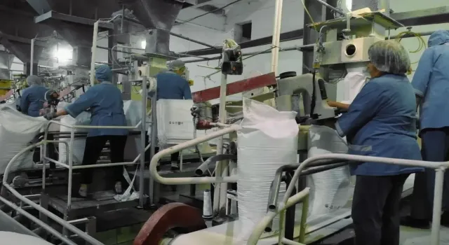 В Башкирии стремительно растут объемы производства сахара