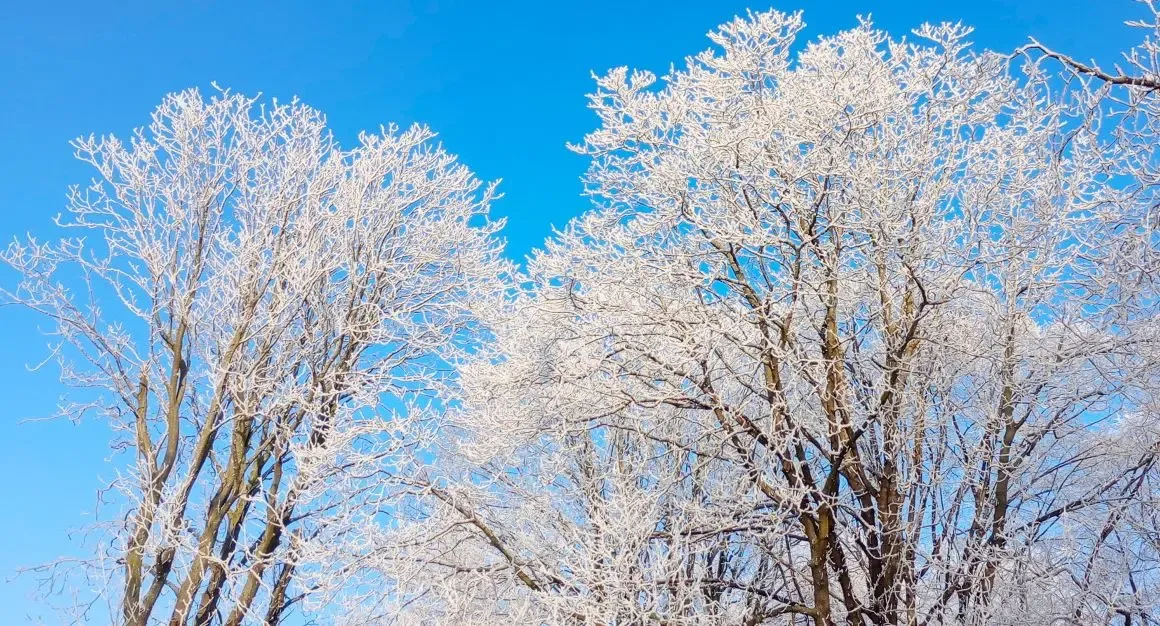 Фото: pxhere.com