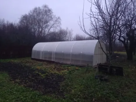 Зима близко: ваша теплица обрушится, если не сделаете это в ноябре