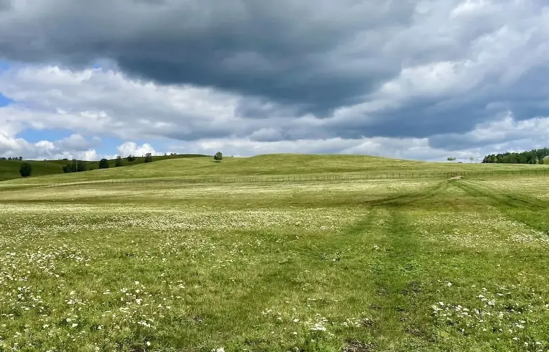 Фото: pxhere.com