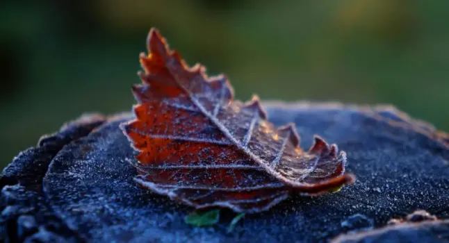 «Температурные качели» в Башкирии: метеорологи назвали причины