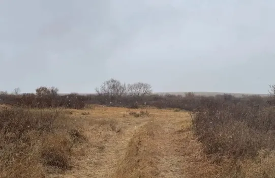 Аномальное тепло: в Уфе побит исторический температурный рекорд