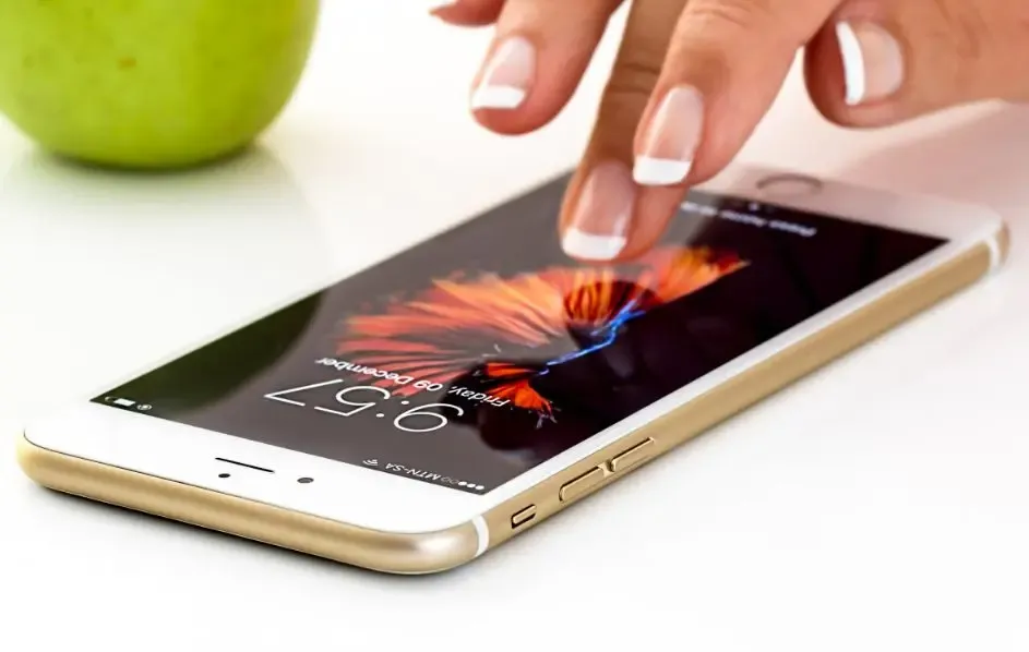 Фото: pxhere.com