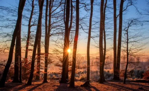 Зима будет аномальной: жителям Башкирии озвучили прогноз погоды на декабрь