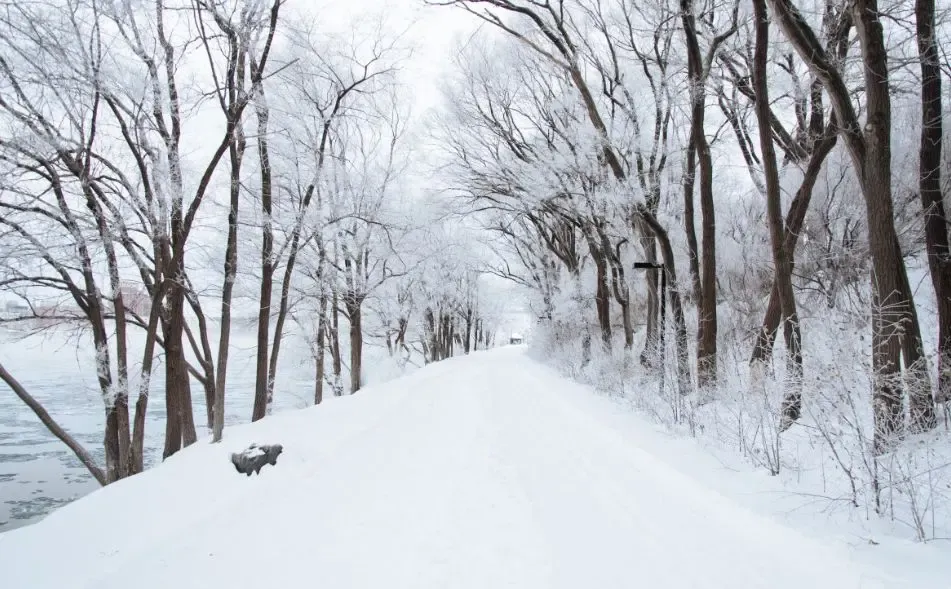 Когда в Башкирию придет настоящая зима: какую погоду ждать в новогодние праздники